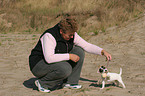 woman plays with Jack Russell Terrier