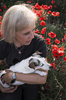 woman with Jack Russell Terrier in the poppy field