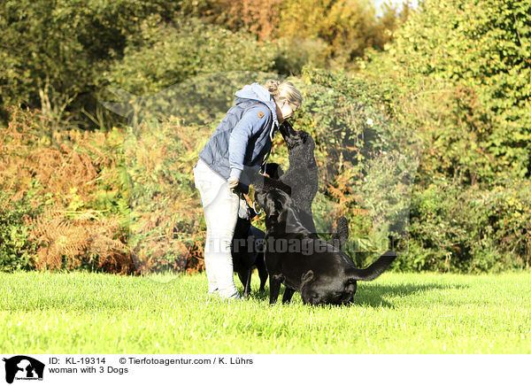 Frau mit 3 Hunden / woman with 3 Dogs / KL-19314