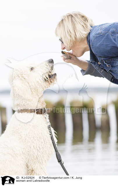 Frau und Labradoodle / woman and Labradoodle / KJ-02924