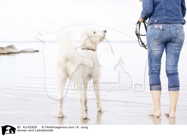 Frau und Labradoodle / woman and Labradoodle / KJ-02926