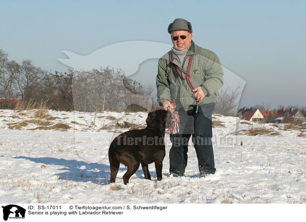 Senior spielt mit Labrador Retriever / Senior is playing with Labrador Retriever / SS-17011