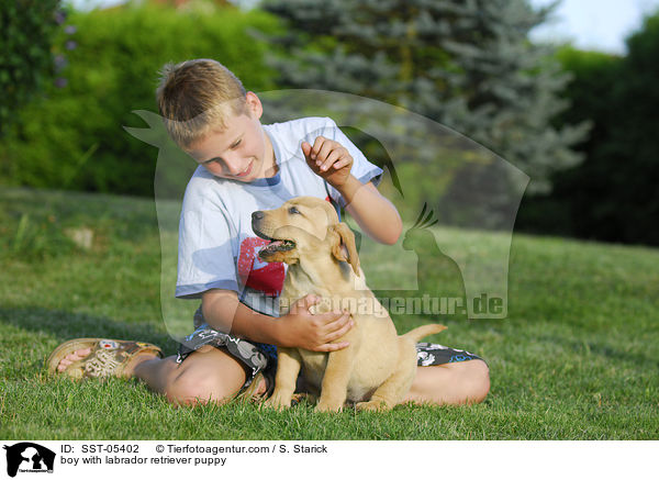 Junge und Labrador Retriever Welpe / boy with labrador retriever puppy / SST-05402