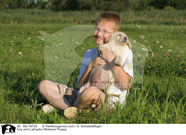 Junge und Labrador Retriever Welpe / boy and Labrador Retriever Puppy / SS-19722