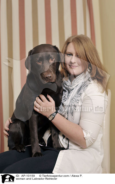 Frau und Labrador Retriever / woman and Labrador Retriever / AP-10159