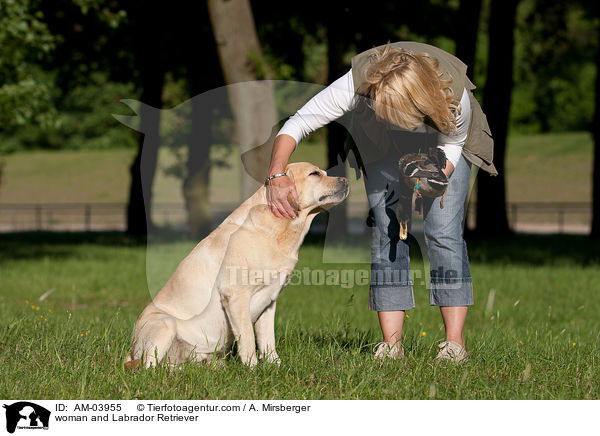 Frau und Labrador Retriever / woman and Labrador Retriever / AM-03955