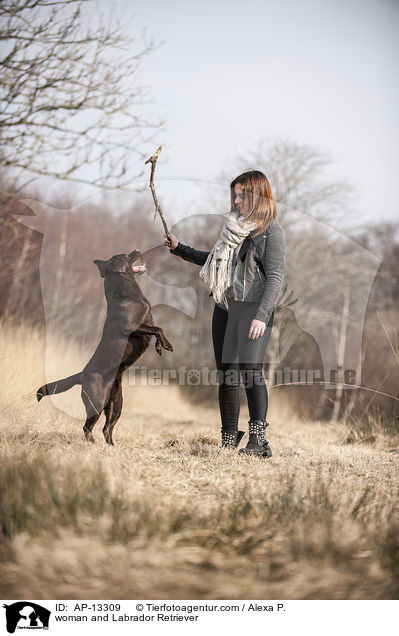 Frau und Labrador Retriever / woman and Labrador Retriever / AP-13309