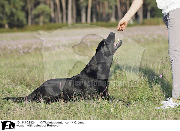 Frau mit Labrador Retriever / woman with Labrador Retriever / KJ-02824