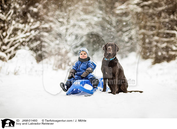 Junge und Labrador Retriever / boy and Labrador Retriever / JAM-01460