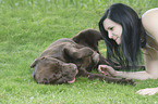 woman and Labrador Retriever