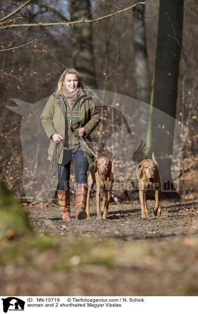 Frau und 2 Kurzhaarvizslas / woman and 2 shorthaired Magyar Vizslas / NN-10719