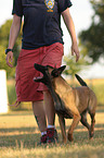 Malinois and woman