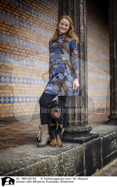 Frau mit Miniature Australian Shepherd / woman with Miniature Australian Shepherd / MW-28748