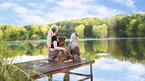 young woman with 2 Miniature Australian Shepherds