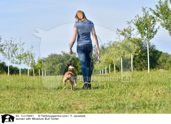 Frau mit Miniatur Bullterrier / woman with Miniature Bull Terrier / YJ-15951