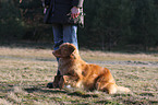 running Toller