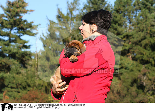 Frau mit Old English Mastiff Welpe / woman with Old English Mastiff Puppy / SS-28945