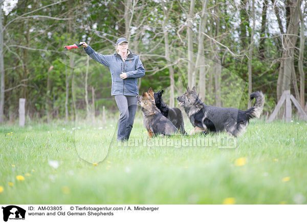 Frau und Altdeutsche Schferhunde / woman and Old German Shepherds / AM-03805