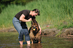 playing Old German Shepherd