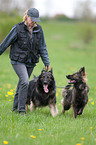 woman with Old German Shepherds