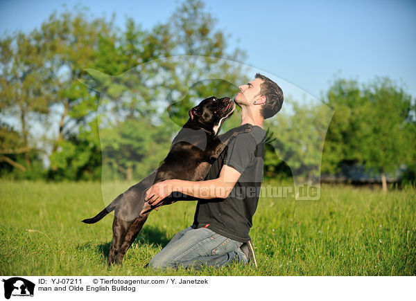 Mann und Olde English Bulldog / man and Olde English Bulldog / YJ-07211