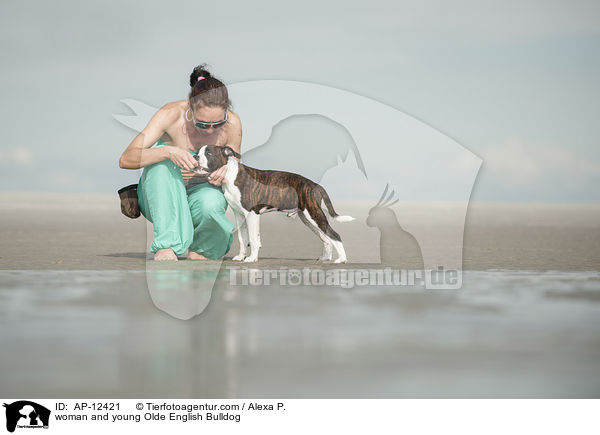 Frau und junge Olde English Bulldogge / woman and young Olde English Bulldog / AP-12421