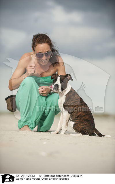 Frau und junge Olde English Bulldogge / woman and young Olde English Bulldog / AP-12433