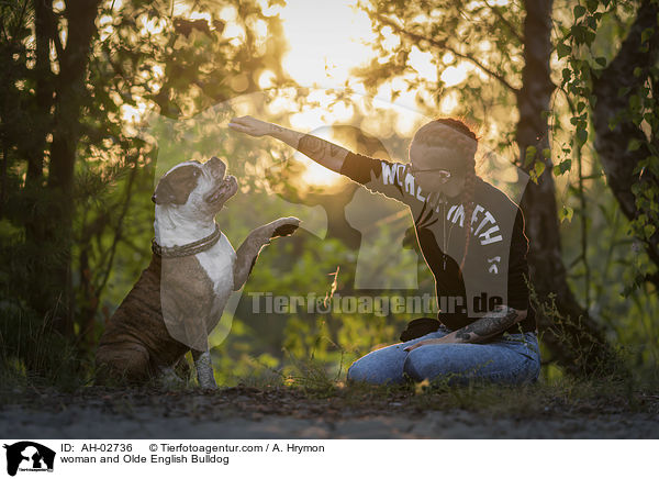 Frau und Olde English Bulldog / woman and Olde English Bulldog / AH-02736