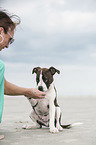 woman and young Olde English Bulldog