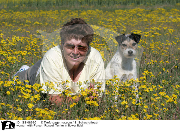 Frau mit Parson Russell Terrier auf Blumenwiese / woman with Parson Russell Terrier in flower field / SS-08936