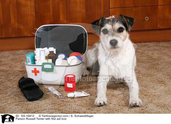 Parson Russell Terrier mit Erste-Hilfe-Kasten / Parson Russell Terrier with first aid box / SS-16812