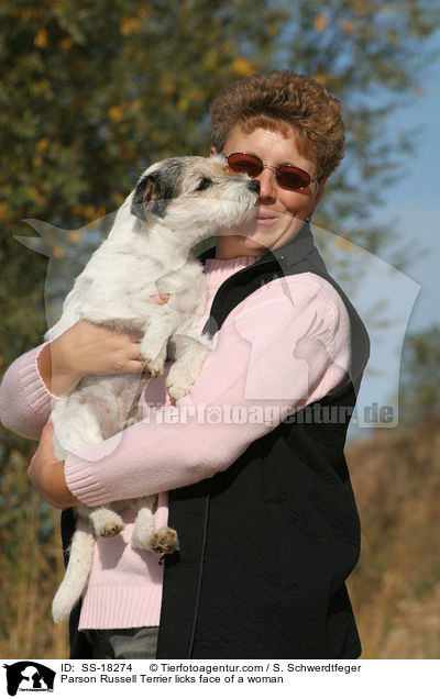 Parson Russell Terrier leckt Frau an / Parson Russell Terrier licks face of a woman / SS-18274