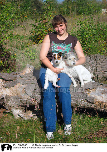 Frau mit 2 Parson Russell Terriern / woman with 2 Parson Russell Terrier / SS-20801