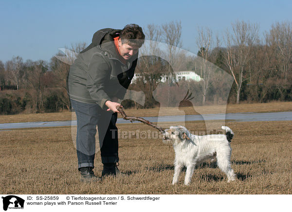 Frau spielt mit Parson Russell Terrier / woman plays with Parson Russell Terrier / SS-25859