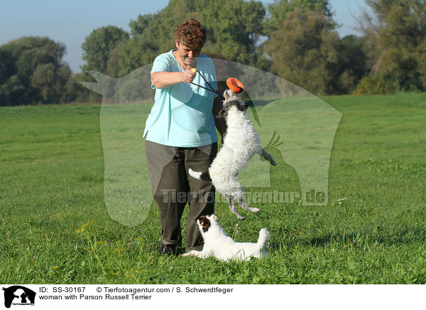 Frau mit Parson Russell Terriern / woman with Parson Russell Terrier / SS-30167
