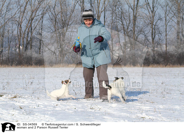 Frau und 2 Parson Russell Terrier / woman and 2 Parson Russell Terrier / SS-34569