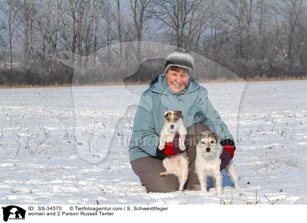 Frau und 2 Parson Russell Terrier / woman and 2 Parson Russell Terrier / SS-34570
