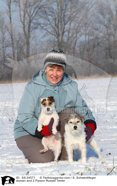 Frau und 2 Parson Russell Terrier / woman and 2 Parson Russell Terrier / SS-34571