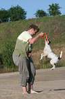 playing Parson Russell Terrier