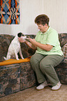 deworming a Parson Russell Terrier