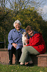 women and Parson Russell Terrier