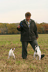 2 playing Parson Russell Terrier