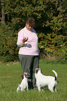 woman and Parson Russell Terrier