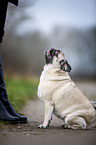 young woman with pug