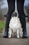 young woman with pug