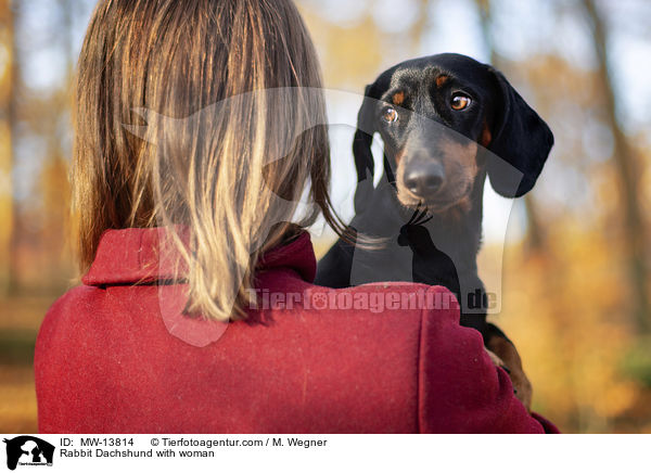 Kaninchendackel mit Frau / Rabbit Dachshund with woman / MW-13814