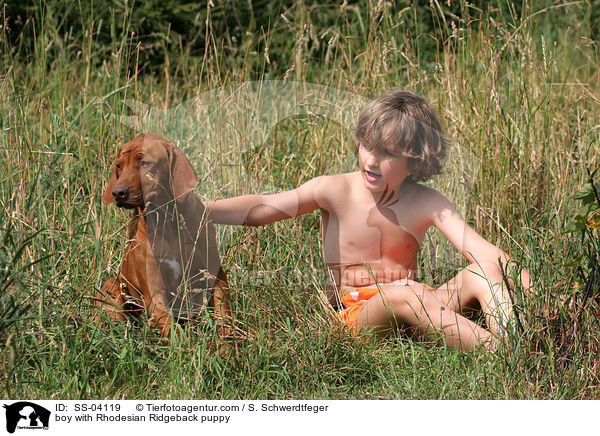 Junge mit Rhodesian Ridgeback Welpe / boy with Rhodesian Ridgeback puppy / SS-04119