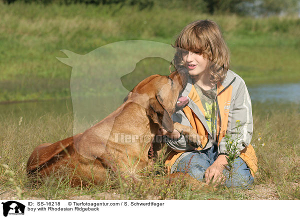 Junge mit Rhodesian Ridgeback / boy with Rhodesian Ridgeback / SS-16218