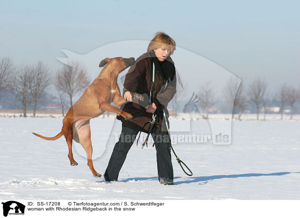 Frau mit Rhodesian Ridgeback im Schnee / woman with Rhodesian Ridgeback in the snow / SS-17208