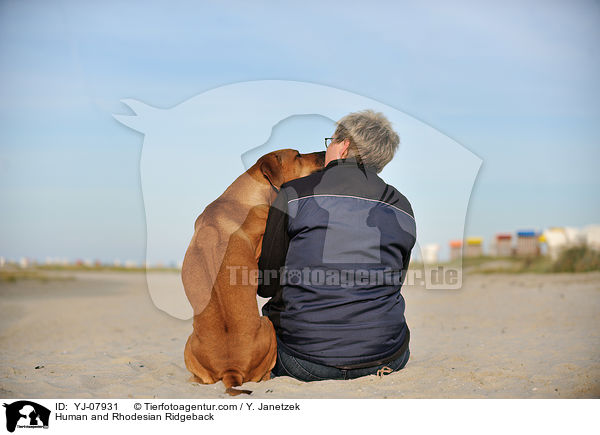 Mensch und Rhodesian Ridgeback / Human and Rhodesian Ridgeback / YJ-07931